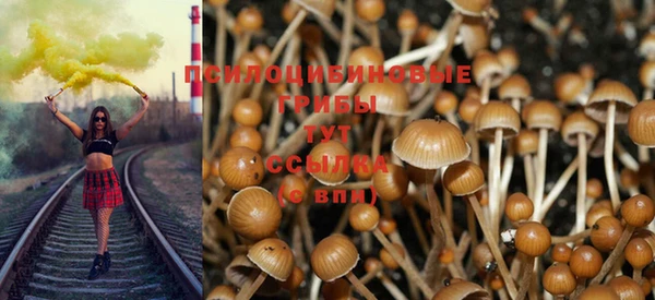 трава Покачи