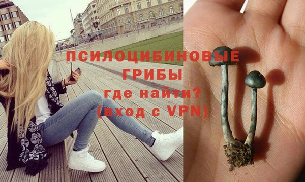 мдпв Михайловка