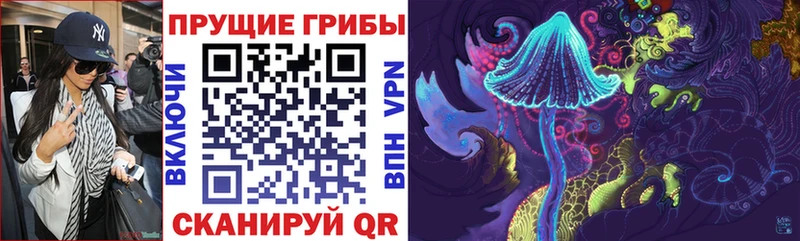 где найти   Домодедово  Псилоцибиновые грибы Magic Shrooms 