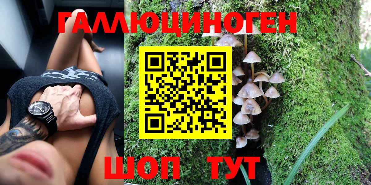 Галлюциногенные грибы Cubensis Домодедово