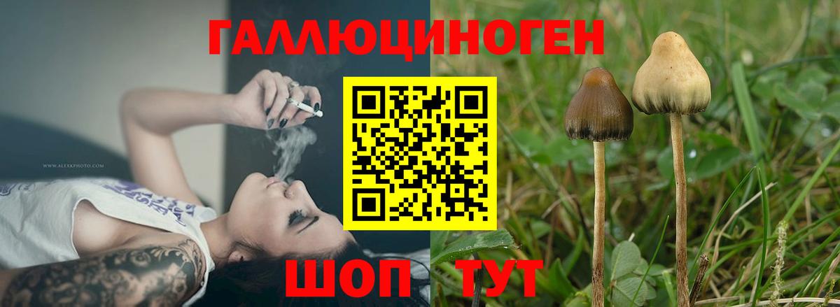 Псилоцибиновые грибы мухоморы  Галлюциногенные грибы мухоморы  Домодедово  Вход с VPN 